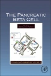 The Pancreatic Beta Cell