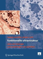 Funktionelle Ultrastruktur