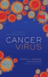 Cancer Virus: The story of Epstein-Barr Virus