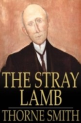 Stray Lamb