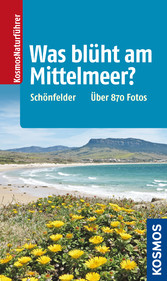 Was blüht am Mittelmeer?