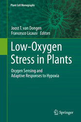 Low-Oxygen Stress in Plants