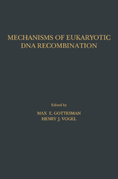 Mechanisms of Eukaryotic DNA Recombination