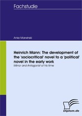 Heinrich Mann: The development of the 'sociocritical' novel to a 'political' novel in the early work