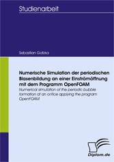 Numerische Simulation der periodischen Blasenbildung an einer Einströmöffnung mit dem Programm OpenFOAM