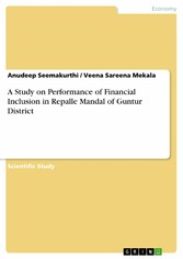 A Study on Performance of Financial Inclusion in Repalle Mandal of Guntur District