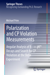 Polarization and CP Violation Measurements