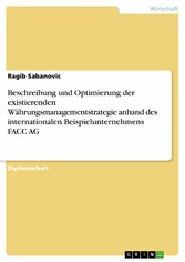 Beschreibung und Optimierung der existierenden Währungsmanagementstrategie anhand des internationalen Beispielunternehmens FACC AG