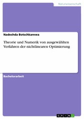 Theorie und Numerik von ausgewählten Verfahren der nichtlinearen Optimierung