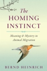 Homing Instinct