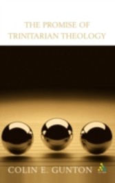 Promise of Trinitarian Theology