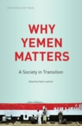 Why Yemen Matters