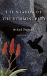 Shadow of the Hummingbird