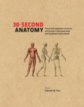 30-Second Anatomy