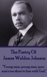 Poetry Of James Weldon Johnson