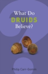 What Do Druids Believe?