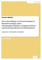 Die Umwandlung von Privatvermögen in Betriebsvermögen unter schenkungsteuerlichen, ertragsteuerlichen und kostenspezifischen Gesichtspunkten