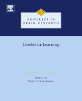 Cerebellar Learning