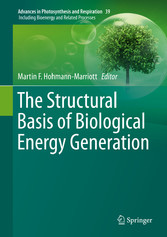 The Structural Basis of Biological Energy Generation