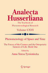 Phenomenology of Space and Time