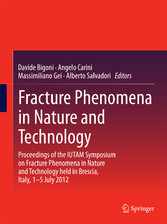 Fracture Phenomena in Nature and Technology