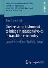 Clusters as an instrument to bridge institutional voids in transition economies