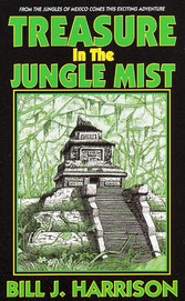 Treasure in the Jungle Mist