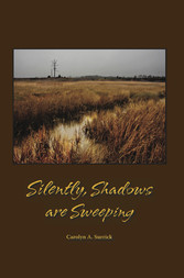 Silently, Shadows are Sweeping