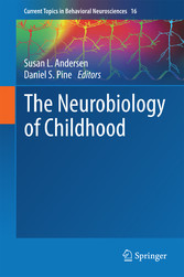 The Neurobiology of Childhood