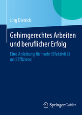 Gehirngerechtes Arbeiten und beruflicher Erfolg