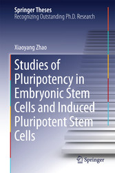 Studies of Pluripotency in Embryonic Stem Cells and Induced Pluripotent Stem Cells