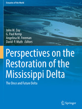 Perspectives on the Restoration of the Mississippi Delta