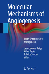 Molecular Mechanisms of Angiogenesis