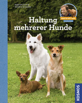 Haltung mehrerer Hunde