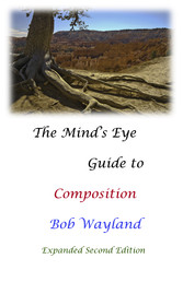 The Mind's Eye Guide to Composition