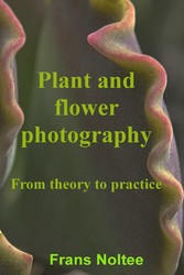 Plant and Flower Photography