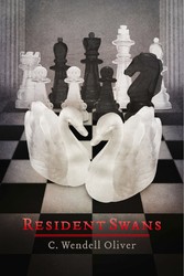 Resident Swans