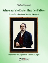 Schau auf die Erde - Der Flug des Falken. Drittes Buch: Der lange Weg der Erkenntnis