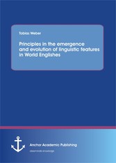 Principles in the emergence and evolution of linguistic features in World Englishes