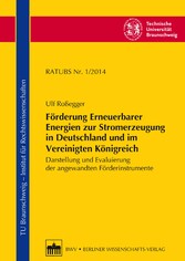 Förderung Erneuerbarer Energien zur Stromerzeugung in Deutschland und im Vereinigten Königreich