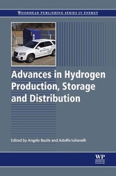 Advances in Hydrogen Production, Storage and Distribution