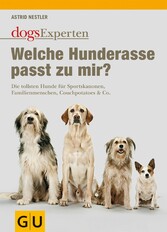 Welche Hunderasse passt zu mir?