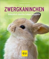 Zwergkaninchen