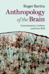 Anthropology of the Brain