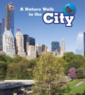 Nature Walk in the City