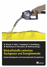 Biokraftstoffe zwischen Sackgasse und Energiewende