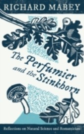 Perfumier and the Stinkhorn