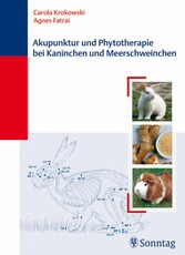 Akupunktur und Phytotherapie bei Kaninchen und Meerschweinchen