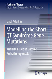 Modelling the Short QT Syndrome Gene Mutations