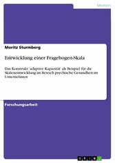 Entwicklung einer Fragebogen-Skala